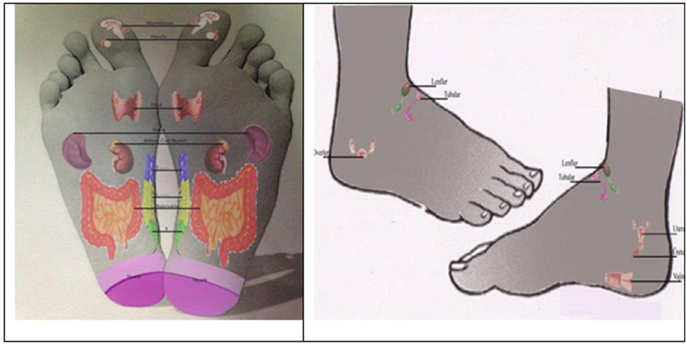 Doğum Ağrısında Alternatif Bir Yöntem: Ayak Refleksolojisi An Alternative Method for Labor Pain: Foot Reflexology 57 Uygulama süresince tırtıl, kuş gagası, torna, kelebek, kanca ve yırtma teknikleri