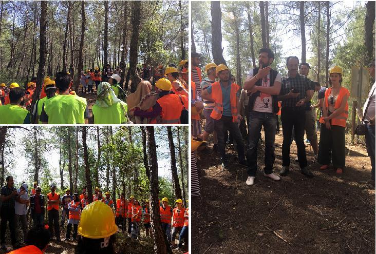 Üçüncü gün (16.05.2017): Fethiye de alınan kahvaltı sonrasında Köyceğiz Orman İşletmesine hareket edilmiştir.