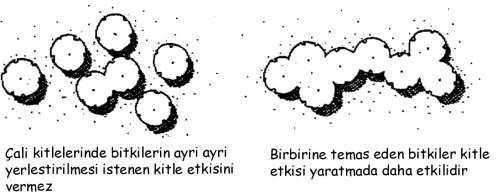 Çalı kitlesini grup bitkilendirmesinden ayırt eden özellik, çalı