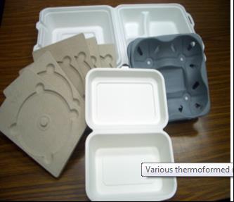Destekleyici iç kap paketleme tipleri Termal Özellikli ( ısıyı muhafaza eden) Plastik