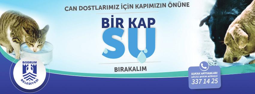 İş birliğine çağırıyoruz! Bodrum Belediyesi olarak, sokak hayvanlarının su ihtiyacının karşılanması amacıyla suluk takılması konusunda tüm duyarlı vatandaşlara iş birliği çağrısı yapıyoruz.