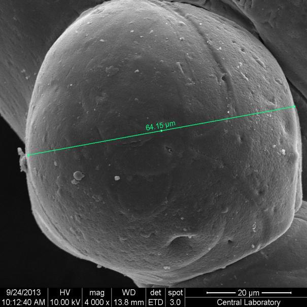 38 4.4. NaCMC/PVA IPN mikrokürelerin taramalı elektron mikrograf görüntüleri Resim 4.1 ve 4.