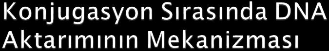 Konjugasyon hücrelerarası temas ile tetiklenir ve bu anda halkasal plazmit DNA sının bir zincirinde bir kırık meydana gelir ve bu zincir alıcı hücreye aktarılır.