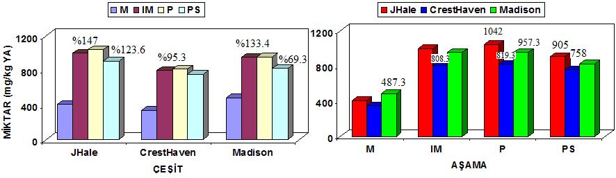 mg/kg) çeşitleri birbirinden farklı bulunmuştur. Şekil 4.
