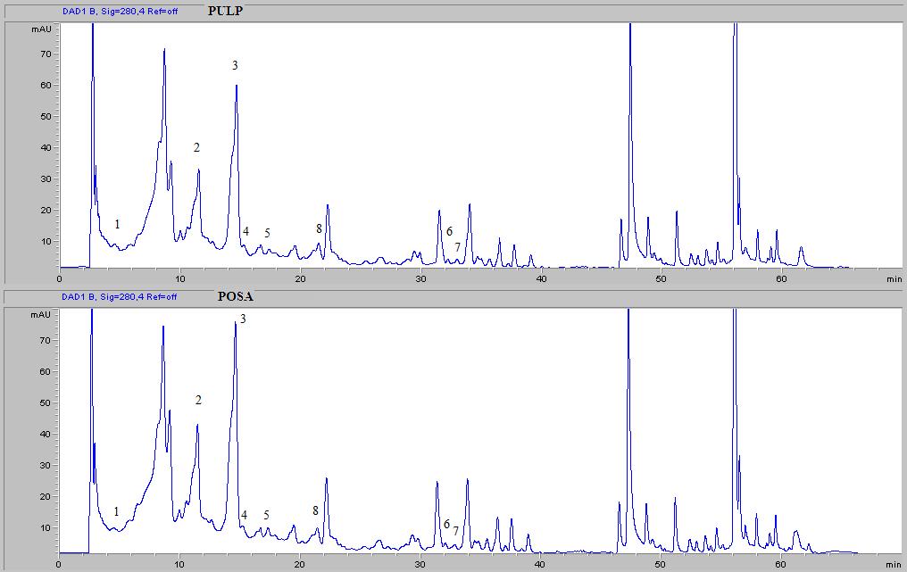 EK 3 2004 yılı Madison şeftali çeşidi örneklerinde fenolik madde HPLC kromatogramları [(1)gallik asit, (2)(+)-kateşin,