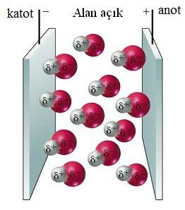 uçları negatif elktroda, -