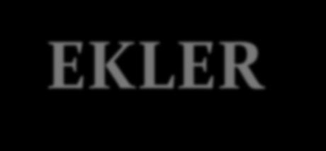 EKLER ECE Brake Regulation Committee Chairman -