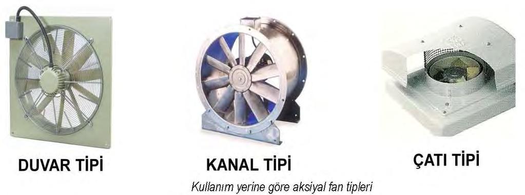 Aksiyal (eksenel) fanlar