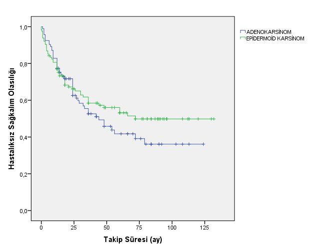 28 Şekil 4.8. Olguların patolojik tiplerine göre hastalıksız sağkalım eğrisi (Kaplan Meier) 7.