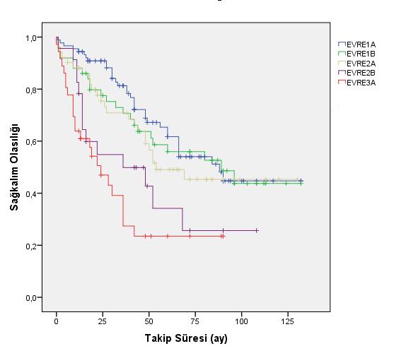 44 Tümörün patolojik evresi ile sağkalım ilişkisine bakıldığında; evre IA için ortalama 85±5 ay (73-96 %95 GA), evre IB için ortalama 80±7 ay (65-95 %95 GA), evre IIA için ortalama 75±7 ay (60-91 %95