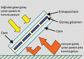 (Bifacial) Hücreler % 20 -