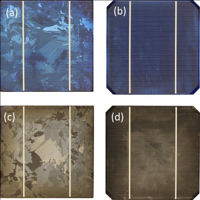 Multicrystal Solar Cell Sdandard