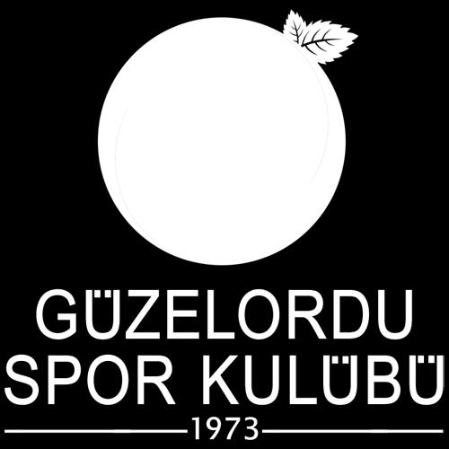 GÜZEL ORDUSPOR 1973 Yılında Ordu Köy