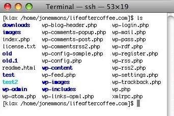 Dosyaların İsimlendirilmesi Linux ta dosya isimlerinin uzunluğu 256 karaktere kadar uzayabilir. Dosya isimleri büyük/küçük harfe duyarlıdır.