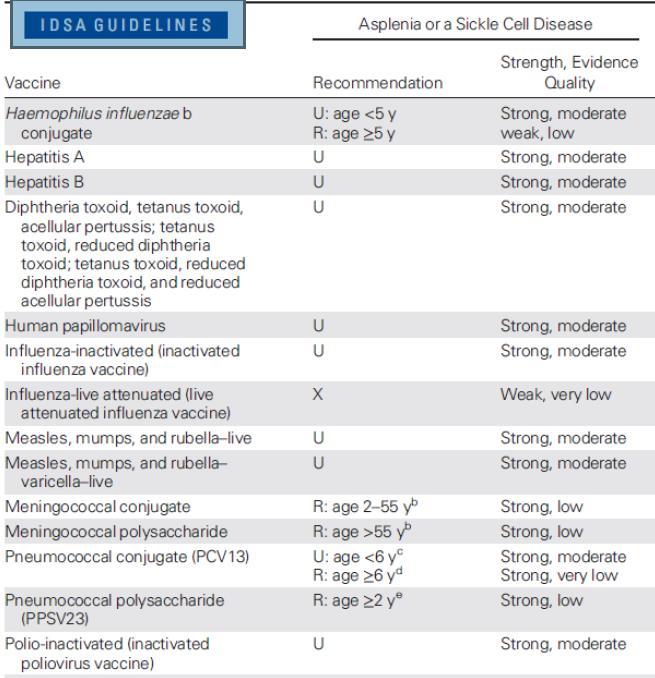 R, recommended administer if not previously administered or not current; such patients may be at increased risk for this vaccine-preventable