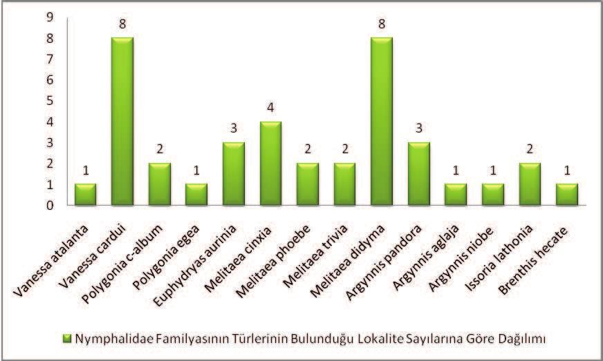 131 Şekil 4.17.