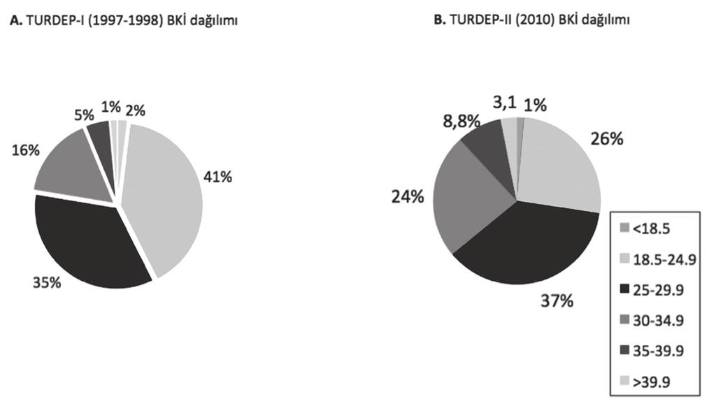 Obezite, hem kadınlarda hem de erkeklerde 20-24 yaş grubundan itibaren 50-54 yaş grubuna kadar sürekli artış göstermekte, bu yaştan sonra ise ileri yaşlara kadar azalma eğilimine girmektedir (Şekil 1.