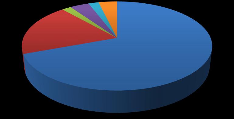 Grafik-1: Yaz Mevsimi Enerji Kullanım Profili 19% 2% 4% 2%