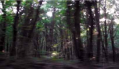 LANDSCALE landscape sequences Peyzajın anlamı söz konusu olduğunda hepimiz biliriz ki peyzaj bir kavram olarak pek çok farklı konuyu içinde barındırır ve tek bir ifade ile anlatması hiç de