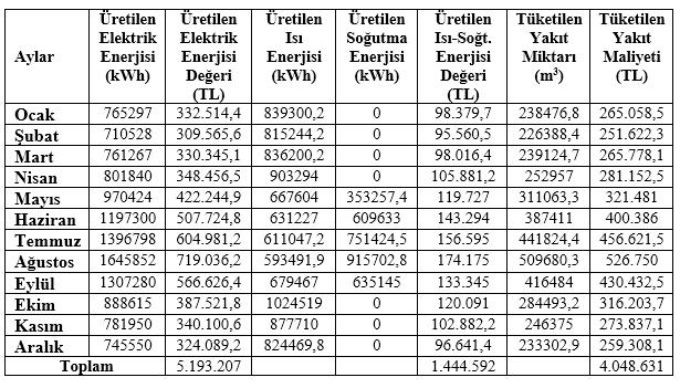 Kojenerasyon sisteminde yıllık üretilen enerji miktarları, tüketilen enerji miktarları ve mali değerleri 3.4.