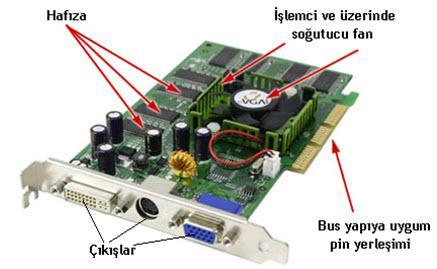 Görüntü kalitesi ekran kartına ve monitöre bağlıdır. Ekran kartının kalitesini ise fiziksel yapısı, kullandığı slot ve arayüz çeşidi (CGA, VGA, SVGA) belirlemektedir.