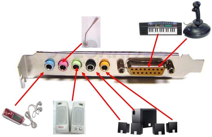 Microphone In : Ses kartın mikrofon girişidir. Dış ortamdaki seslerin mikrofon bilgisayara gönderilmesini sağlar. Line Out : İki hoparlörün ya da kulaklığın kullanılmasını sağlayan çıkıştır.