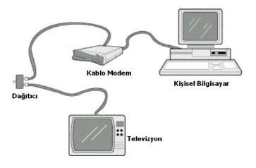 2.3. TV Kartları Şekil 2.5: Kablo modem bağlantısı TV kartları televizyon yayınlarının bilgisayarda seyredilmesini sağlayan kartlardır.