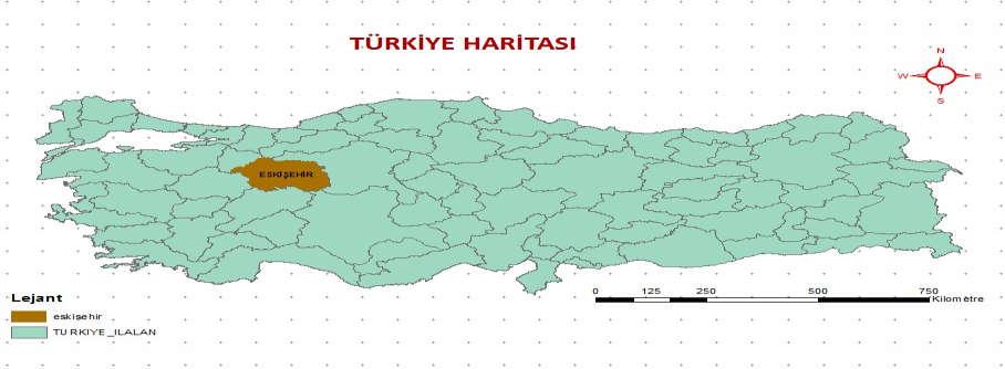 Toplam 19 şerit vardır. 19 şerit içinde 114 adet çerçeve görüntü vardır.