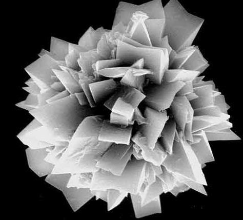 Kristaller Hatırlayalım Kimyasal yapısı kalsiyum oksalat Basit kristaller: