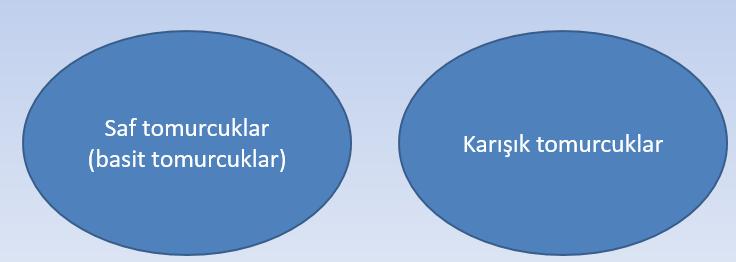 Ertesi yıl çiçek açacak ve sürgün yapacak olan tomurcukların bir yıl önceki ilkbahar gelişme periyodunun sonlarında ve bütün yaz boyunca oluştukları gerçeği çok eski zamanlarda izlenmiş ve tespit