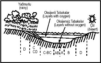 değiştirilerek Şekil 4.