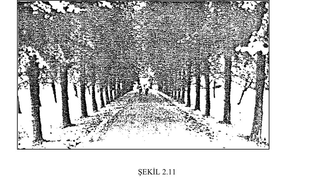 Bu mekânın bir varyasyonu bir yol boyunca yerleştirilen gölgeli ağaçlarla oluşturulan tünel mekânıdır.