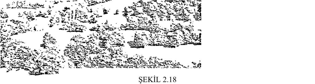 Bitki materyalinin benzer bir işlevi, orman kenarlarının ağaçlıkların ve çalı sıralarının kırsal bölgeyi bir mekanlar hiyerarşisine böldüğü kırsal peyzajda görülür.