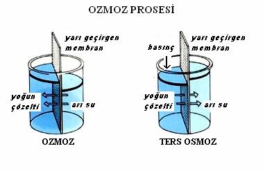 gerçekleşir. Reverse osmoz olayı da tamamen fiziksel bir olaydır ve ısı, ışın veya kimyasal kullanılmaz (Url-1, 2011). Reverse osmoz sistemi çapraz akış filtrasyon prensibine göre çalışır.