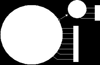 bezeleri (detay 8-10), 4: dilim zarı (segment membran), 5: