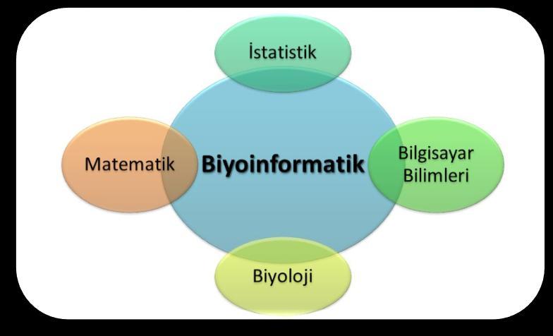 Günümüzde genetik mühendisliği ve biyoteknolojinin ortak olarak çalışması ile GENOMİK, PROTEOMİK ve BİYOİNFORMATİK gibi.