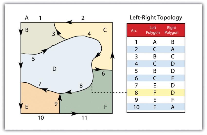 (left-right)  A.