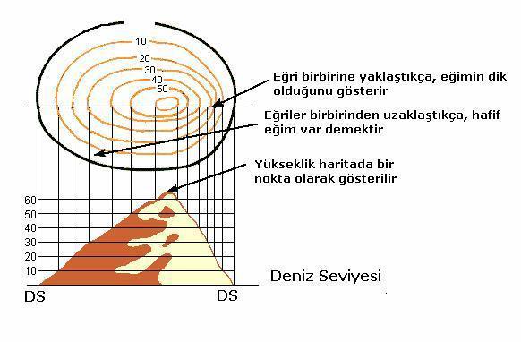 A. ŞİŞMAN