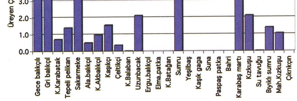 2000 yılı, (b) 2001 yılı, (c) 2002 yılı, (d) 2003 yılı (e) 2004 yılı, (f)