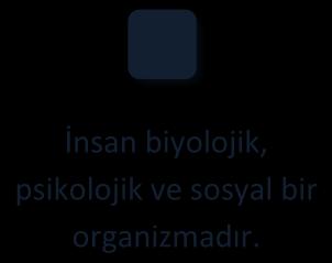 Psikolojide ise organizma denildiğinde, insan ve hayvan organizması akla gelir.