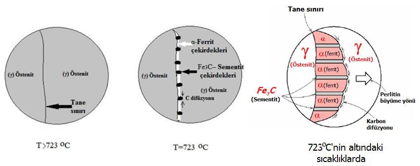 Perlitin ( + Fe 3 C) oluşum ve büyüme mekanizması Perlit oluşumu ve büyümesi mekanizması Hillert tarafından geliştirilmiştir.