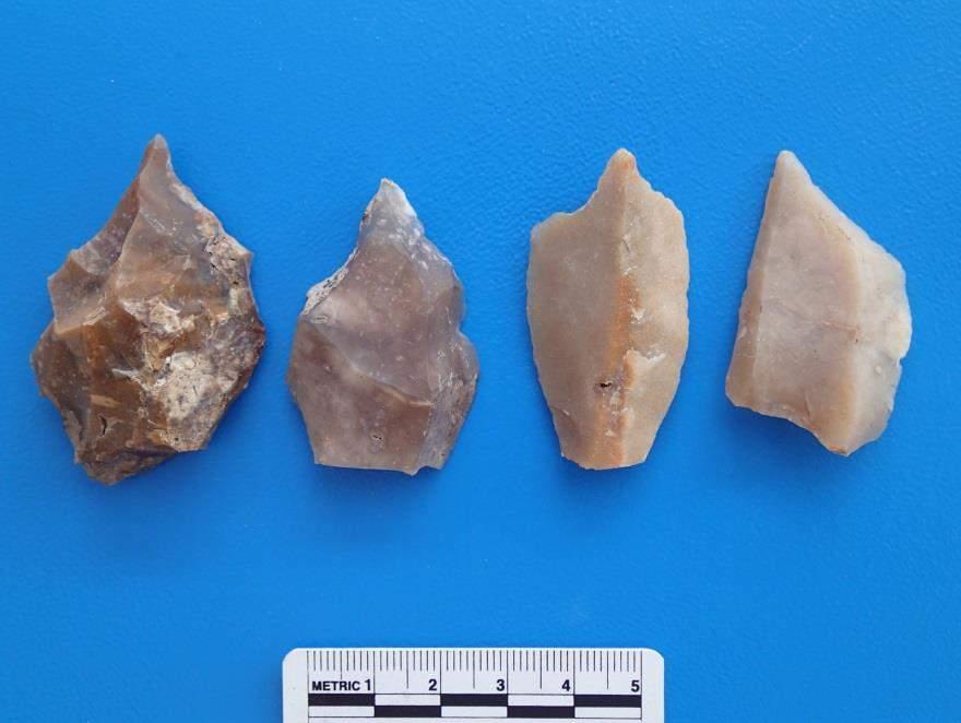 80 Resim 3: Kanlıtaş Höyük çakmaktaşı delgiler Kanlıtaş Hötük te 2014 yılında gerçekleştirilen çalışmalarda en çok alet çeşidinin ve en fazla farklı kayacın tespit edildiği açma N-16 açmasıdır (Tablo