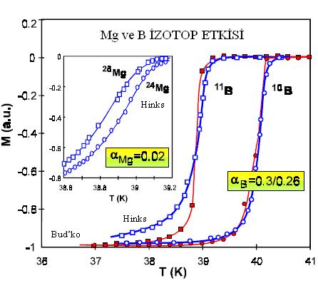 Şekil 2.9 da MgB 2 nin kritik sıcaklığa karşı M ve B nin izotop etkisini göstermektedir. Bu çalışmalarda α B, 0,26-0,3 arasında çıkmıştır.