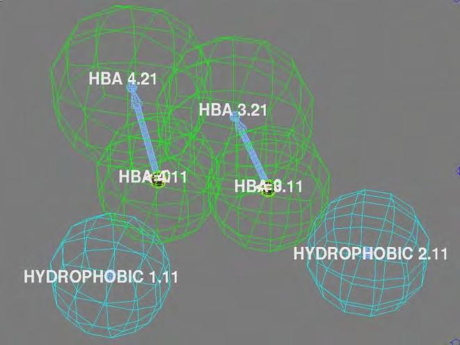 17 µm H-Bağları: