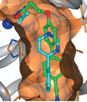 Fragmana Dayalı İlaç Tasarım Uygulamaları Metalloproteinaz İnhibitorleri HO H N O K d =17 mm HO K d =0.