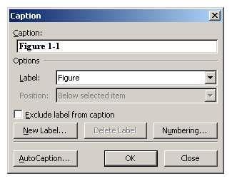 4-Eğer Office 2003 kullanıyorsanız Exclude label from caption kutucuğunu boş bıraktıktan sonra (default olarak boştur), Office 2000 veya Office xp kullanıyorsanız bu kutucuk olmadığından doğrudan