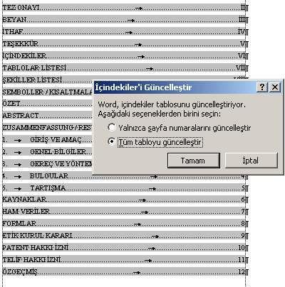 6 TABLOLAR / ŞEKİLLER LİSTELERİ Dikkat bu sayfalarda bulunan Hata! Şekil tablosu öğesi bulunamadı (Error! No table of figures entries founds) yazısını silmeyiniz!