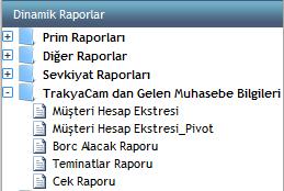 13. Cari Raporları Kendi firmanıza ait cari raporları aşağıdaki raporlar ile alarak kontrol edebilirsiniz.