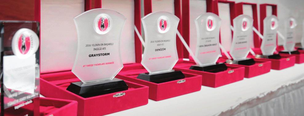 Yılın İngiliz Atı kategorisinde birinciliği elde eden Graystorm un ödülünü, safkanın sahibi Ahmet Güzelocak, TJK Başkanı Yasin Kadri Ekinci nin elinden aldı.