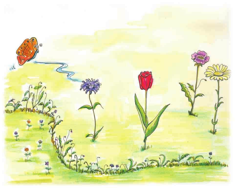 15. Kelebek, çiçekler aras nda çizilen yolu izliyor. Ne kadar yol ald n hesaplay n z. 320 cm 235 cm 55 cm 105 cm 150 cm 16.
